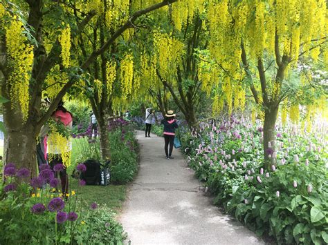 5 Must-See Botanical Gardens in Vancouver - BCRobyn