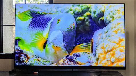 Are OLED TVs Worth It? I Made the Plunge for You | Tom's Guide