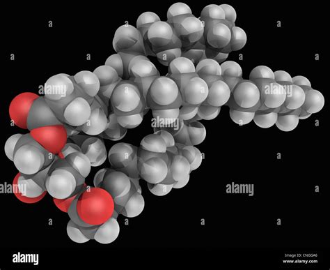 Triglyceride hi-res stock photography and images - Alamy