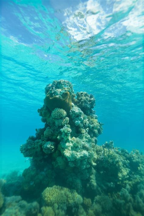 Aitutaki, Cook Islands - Lagoon Adventures in Paradise | Underwater ...