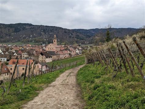 Best Walking Routes in Alsace - Walks & Hikes with Map