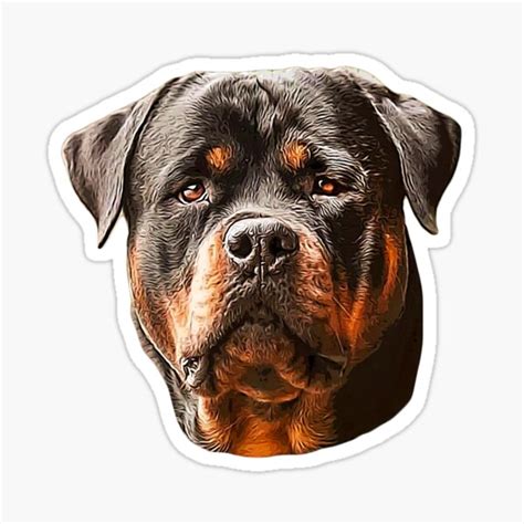 Rottweiler Angry Face | ubicaciondepersonas.cdmx.gob.mx