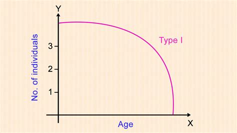 Types of Survivorship Curve with Examples - Science Struck