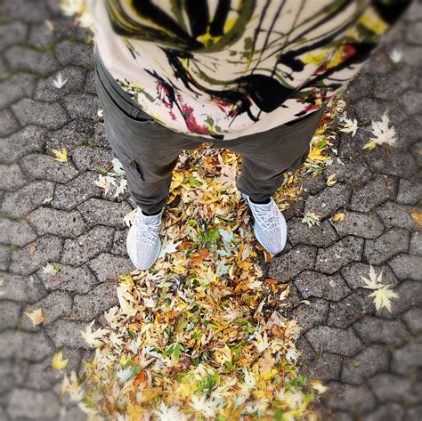 COLORS OF AUTUMN : r/yeezys