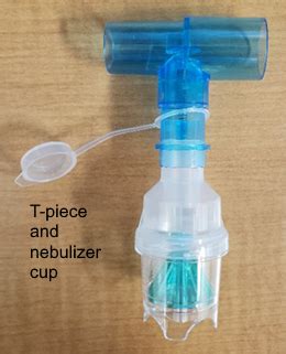 Nebulizer Treatments - Tracheostomy & Ventilator Program - Golisano ...