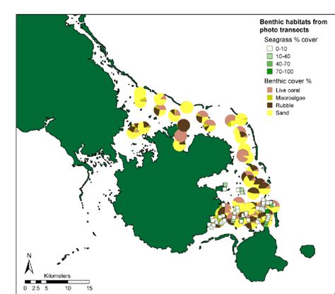 28: Major benthic cover types resulting from the benthic photo transect ...