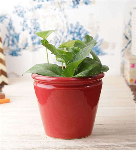 Buy Red Glossy Taper Shaped 5 Inch Ceramic Planter Pots Set of 2 by VarEesha at 13% OFF by ...