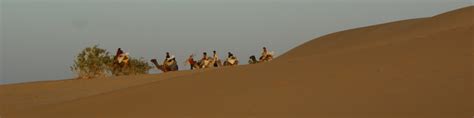 Rajasthan Camel Safari - Wikitravel