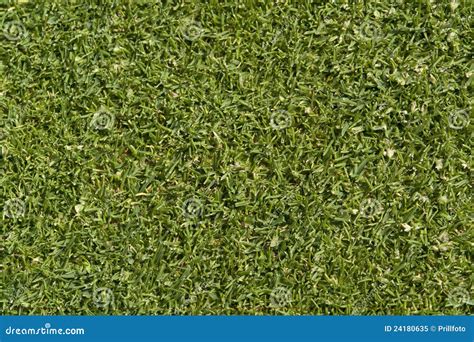 Abstract Golf Green Background Stock Image - Image of accuracy, macro: 24180635