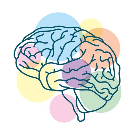 cerebro humano con círculos de colores 1890134 Vector en Vecteezy