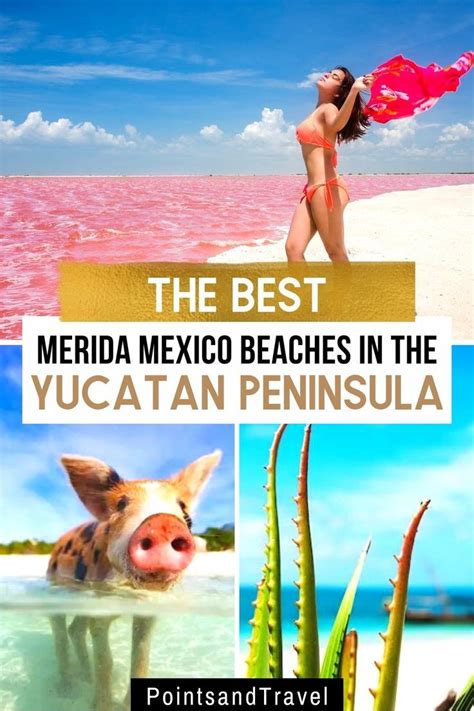 Best Merida Mexico Beaches in the Yucatan Peninsula | Merida mexico, Mexico beaches, Mexico ...