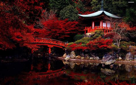 Japan 4K Wallpapers - Top Free Japan 4K Backgrounds - WallpaperAccess