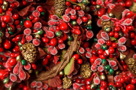 Red And Green Berries Free Stock Photo - Public Domain Pictures
