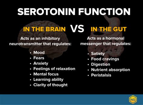 Serotonin Brain Food™ | Increase serotonin, Neurotransmitters ...