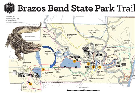 Photo Safari: Brazos Bend State Park Photos