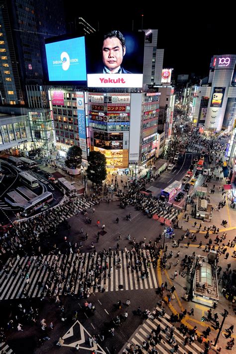 Shibuya Crossing - Alo Japan