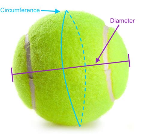 Tennis Ball Size & Bounce Test