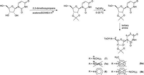 Scheme 2. Synthesis of quaternary ammonium salts from... | Download Scientific Diagram