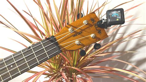 The 3 Best Ukulele Tuners - Uke Like The Pros Blog