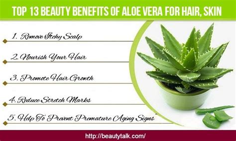 Top 13 Beauty Benefits Of Aloe Vera For Hair, Skin – How To Use?