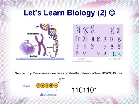 Genetic Algorithm by Example