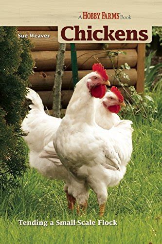 The Buckeye Chicken - Characteristics - InfoBarrel