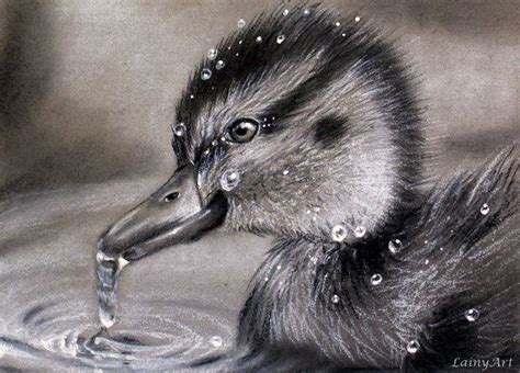 Animal Charcoal Portrait Drawings | Animal portraits art, Charcoal portraits, Portrait drawing