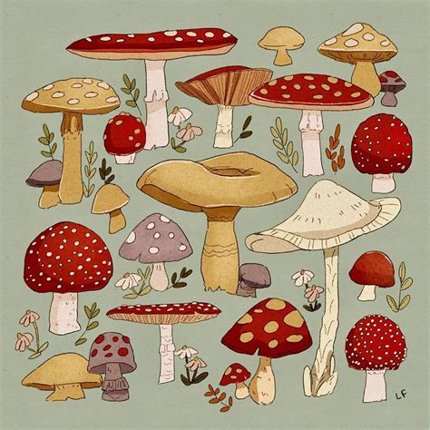 Libby Frame on Instagram: "lil mushroom patch cause scrolling through ...