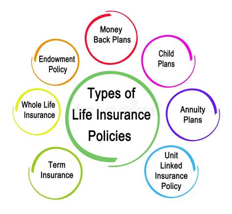 Types of Life Insurance Policies Stock Illustration - Illustration of money, unit: 134488459