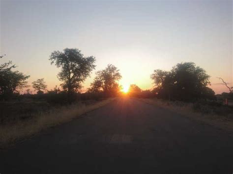 From Hoedspruit: Kruger National Park Safari with Transfer | GetYourGuide