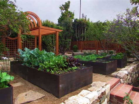 How To Start A Raised Bed Vegetable Garden From Scratch at Carla Bowser ...