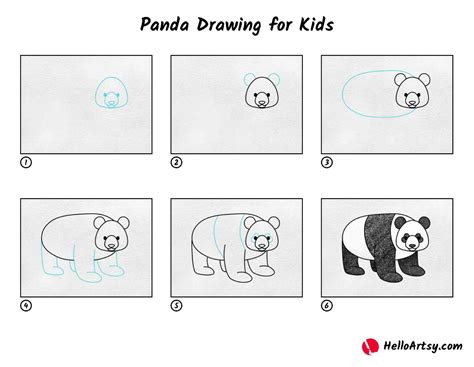 Step By Step Drawings Of Pandas