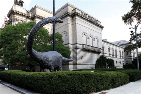 The Carnegie Museum of Natural History | Rock & Gem Magazine