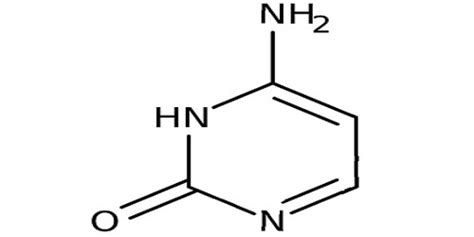 Cytosine - Assignment Point