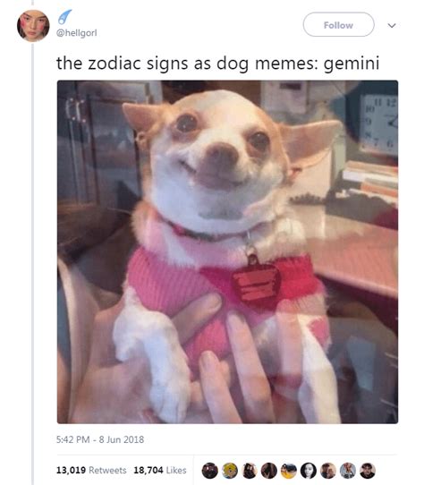 The 12 Zodiac Signs As Dog Memes | Dog memes, Animal memes, Memes