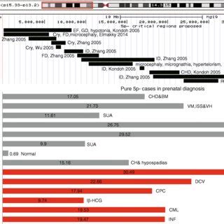 (PDF) Prenatal diagnosis of cri-du-chat syndrome by SNP array: report of twelve cases and review ...