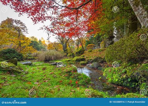 Autumnal Scenery of Nikko National Park Stock Photo - Image of garden, asia: 103388916