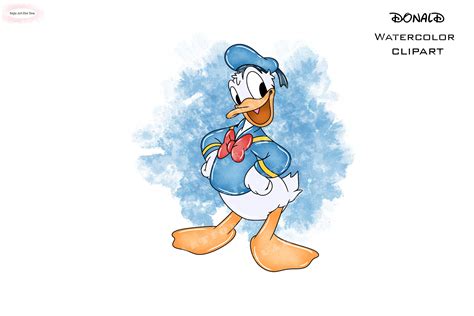 Donald Duck Clipart Donald Duck Png Donald Duck Watercolor - Etsy