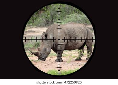 11,980 Poachers Images, Stock Photos & Vectors | Shutterstock