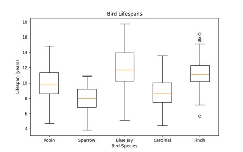 How Long Do Pet Birds Live? - PetBirdLife