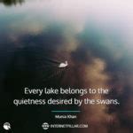 42 Swan Quotes and Sayings for All Birds Lovers