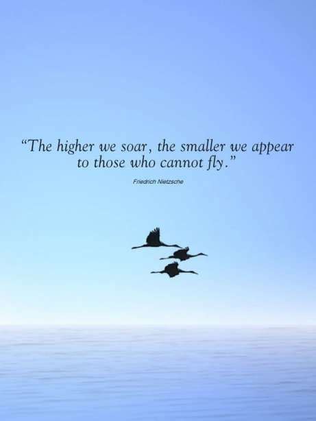 15+ Inspirational Quotes About Flying High - Inspiration Quote ...