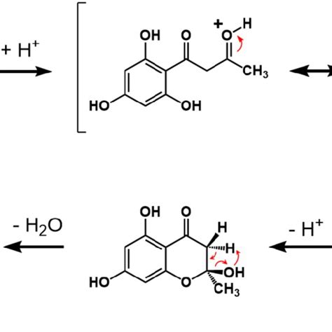 Figure S3: Proposed mechanism for the HCl-catalyzed cyclization of the... | Download Scientific ...