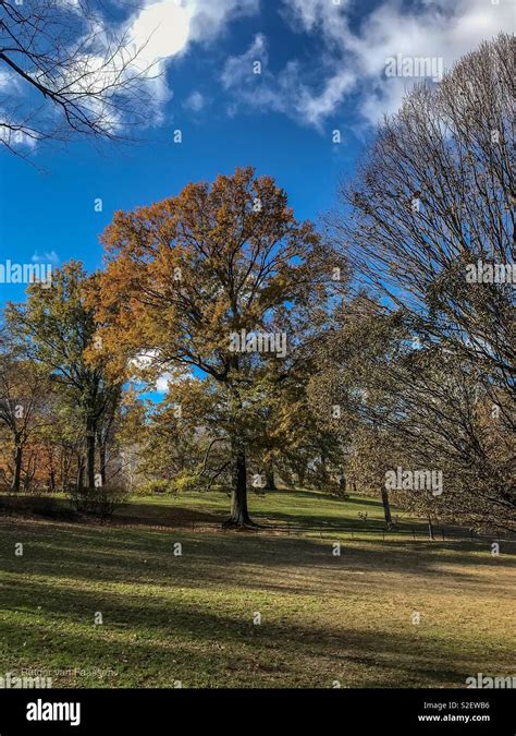 Autumn Colors in Central Park Stock Photo - Alamy