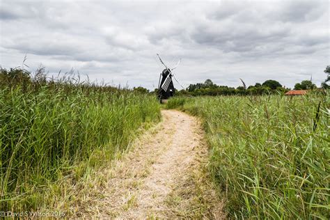 Wicken Fen, Summer 2016 | Country roads, Wicken, National trust