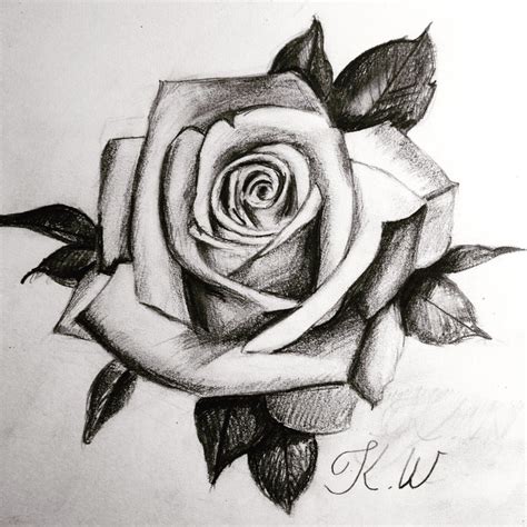 Rose by xHilt on DeviantArt