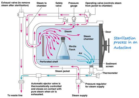 Autoclave Diagram | Autoclave, Steam, Sterile processing tech