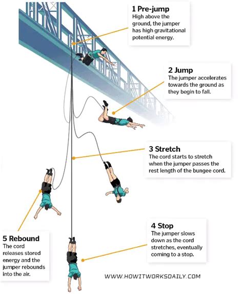 How Does Bungee Jumping Work? + How They Test (Video)