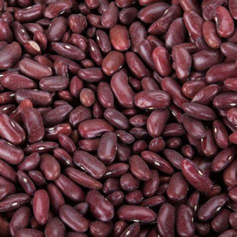 Dried Dark Red Kidney Beans - 20 lb.