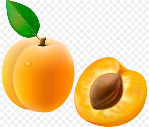 Apricot Fruit Clip Art, PNG, 800x699px, Apricot, Apple, Auglis, Diet Food, Food Download Free